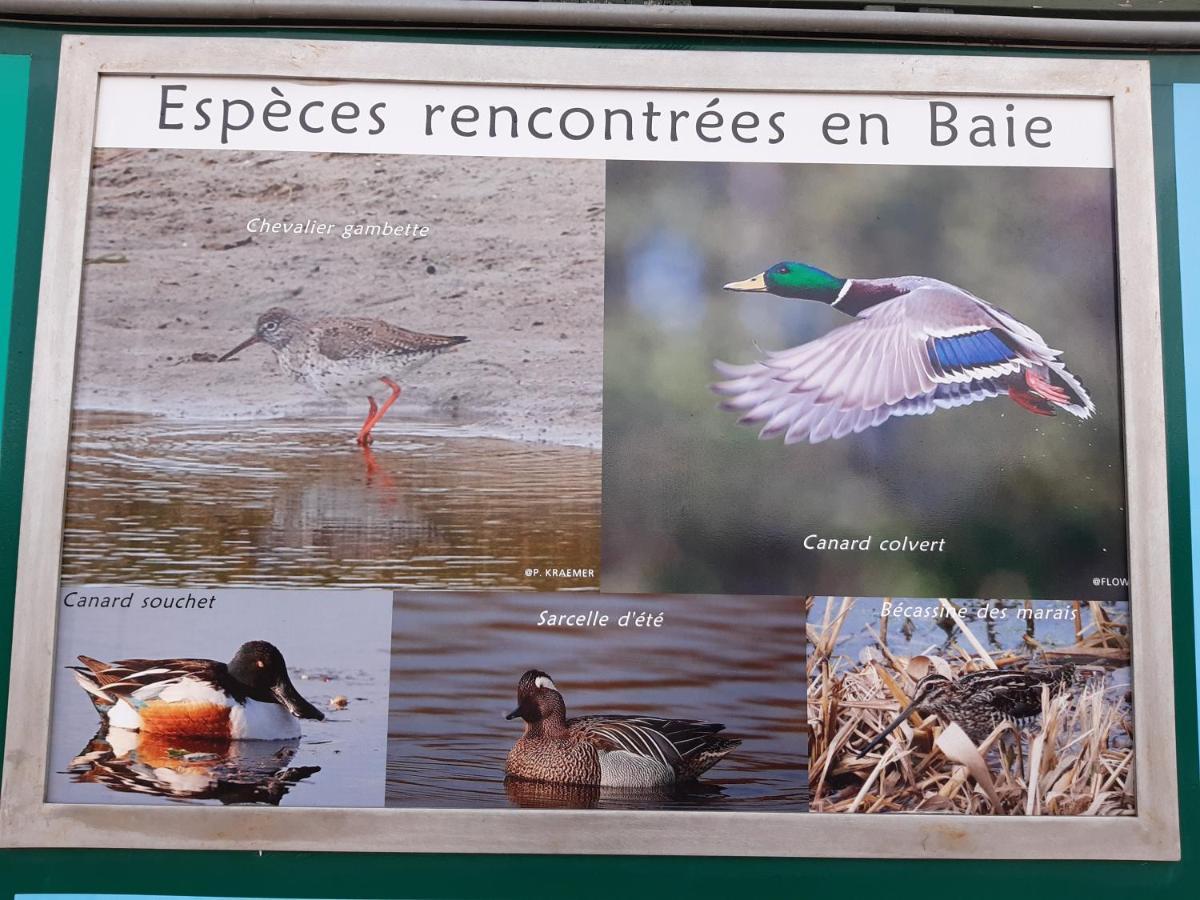 Les Obiones, Vue Laterale Mer, Fort Mahon Plage, Magnifique Studio Cabine 4P, Avec Balcon , Parking Prive Gratuit, Wifi, Classe 2 Etoiles, Exposition Plein Sud En Baie De Somme 외부 사진