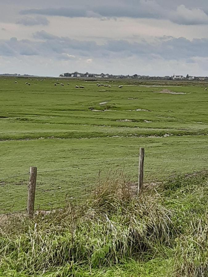 Les Obiones, Vue Laterale Mer, Fort Mahon Plage, Magnifique Studio Cabine 4P, Avec Balcon , Parking Prive Gratuit, Wifi, Classe 2 Etoiles, Exposition Plein Sud En Baie De Somme 외부 사진